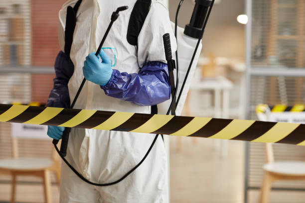 Professional Sewage Cleanup technician working in Dale, PA